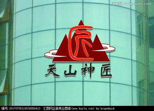 天山神匠 图文logo设计，汇聚创意与神韵