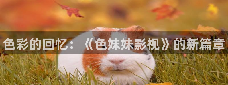 橘子视频新版下载：色彩的回忆：《色妹妹影视》的新篇章