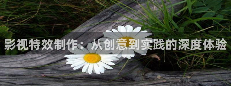 91橘子视频：影视特效制作：从创意到实践的深度体验