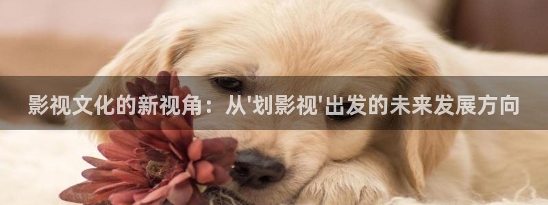 橘子视频app软件下载：影视文化的新视角：从\'划影视\'出发的未来发展方向