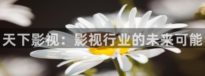橘子影视吧：天下影视：影视行业的未来可能