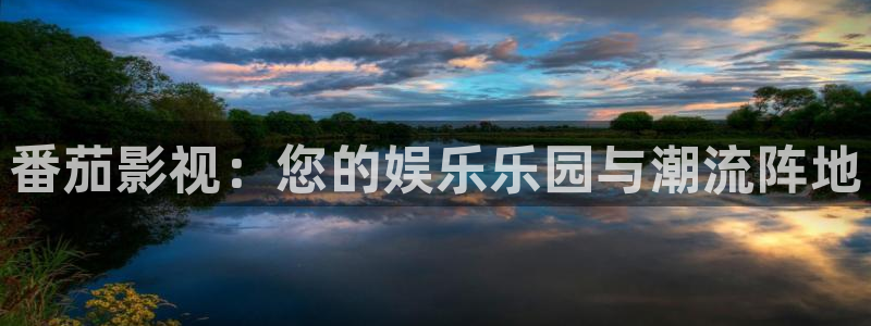 视频橘子：番茄影视：您的娱乐乐园与潮流阵地