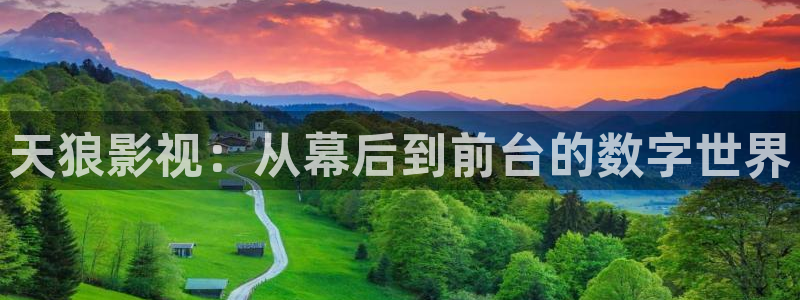 www.橘子视频：天狼影视：从幕后到前台的数字世界