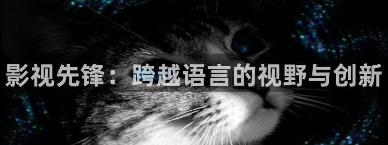 橘子影视官方版下载：影视先锋：跨越语言的视野与创新